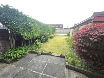 Picture 15